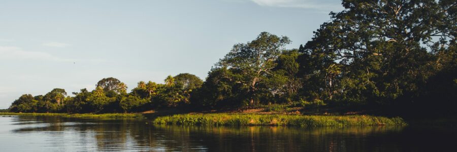 nathalia segato Z7qNoZ nsJc unsplash